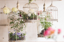 Vogelkooien & huizen