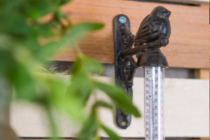 Thermometers & Regenmeters 