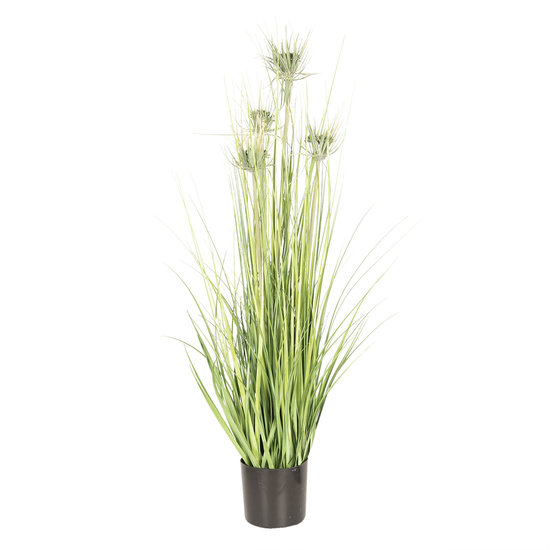 Decoratie kamerplant pluimgras 53*53*90 cm Groen | 5PL0021 | Clayre &amp; Eef