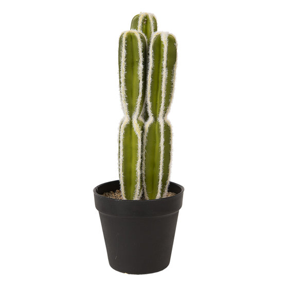 Decoratie cactus 34 cm Groen | CC6PL0002 | Clayre &amp; Eef