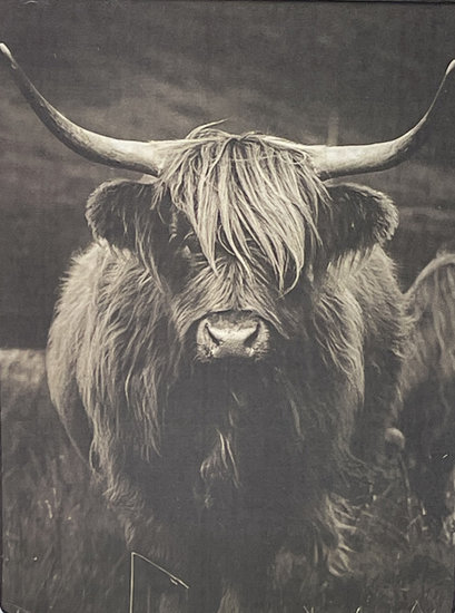 Staand deco bord nostalgisch afbeelding Schotse hooglander sepia kleur 19 x 14 cm  mdf | 65513 | Home Sweet Home | Stoer &amp; 