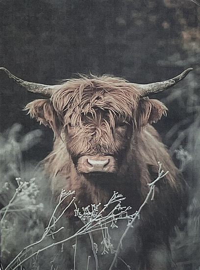 Staand deco bord nostalgisch afbeelding Schotse hooglander sepia kleur 19 x 14 cm  mdf | 65514 | Home Sweet Home | Stoer &amp; 