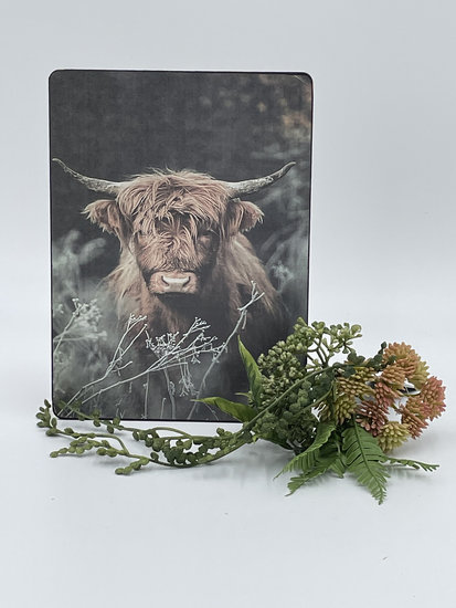 Staand deco bord nostalgisch afbeelding Schotse hooglander sepia kleur 19 x 14 cm  mdf | 65514 | Home Sweet Home | Stoer &amp; 