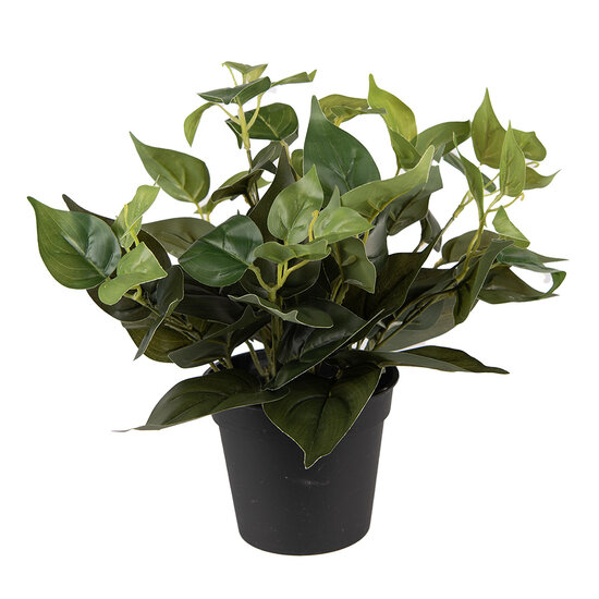 Clayre &amp; Eef | Kunstplant Groen Zwart 29x29x33 cm | 6PL0229