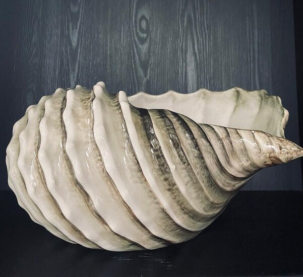 Schelp schaal groot gedraaid wit bruin 26x20 h13 | Wijnkoeler | Decoratie | Fruitschaal | Bloempot klein bruin wit 20 x 18 cm | SP03 | Piccobella