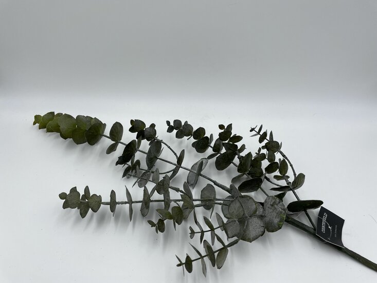 Decoratie kunsttak Eucalyptus 80 cm groen | 779842 | Home Sweet Home | Stoer &amp; Sober Woonstijl