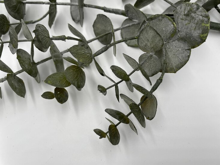 Decoratie kunsttak Eucalyptus 80 cm groen | 779842 | Home Sweet Home | Stoer &amp; Sober Woonstijl