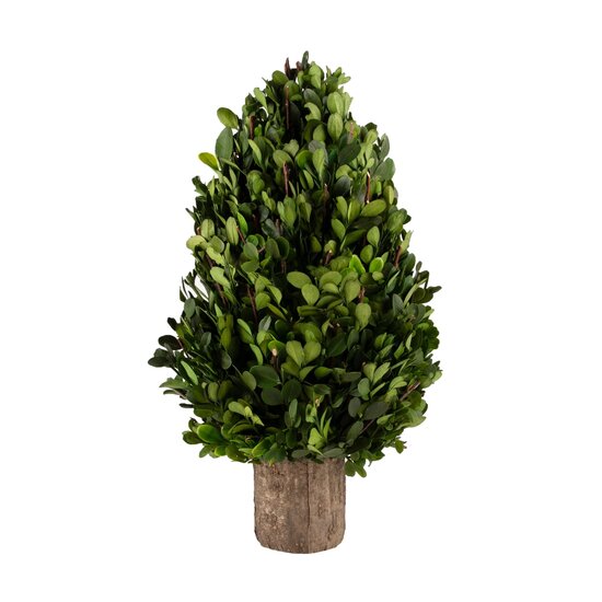 Dekoratief | PlantenKegel vorm op voet, groen/naturel, PVC, 21x21x39cm | A240967