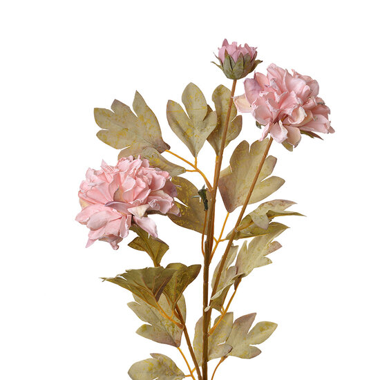 Clayre &amp; Eef | Decoratie tak met bloemen Roze 9x9x68 cm | 6PL0328P