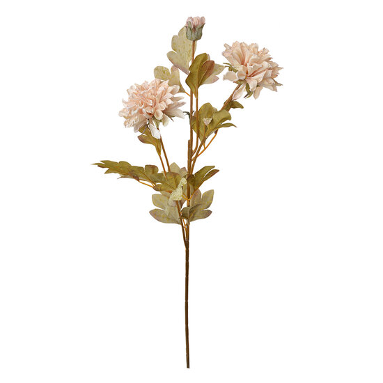 Clayre &amp; Eef | Decoratie tak met bloemen Beige 9x9x68 cm | 6PL0328W
