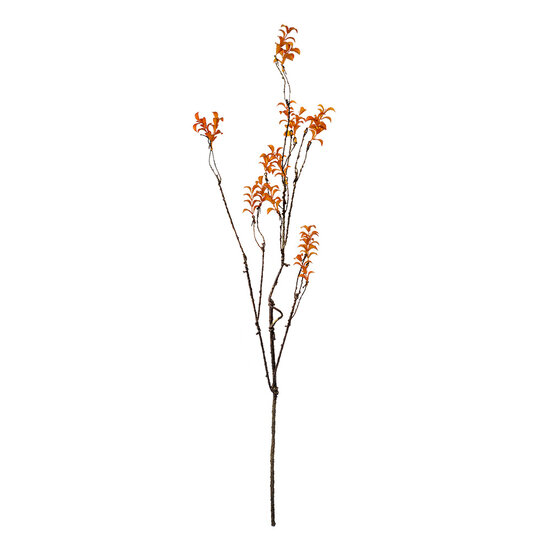 Clayre & Eef | Decoratie Tak Oranje Bruin 18x5x110 cm | 5PL0184