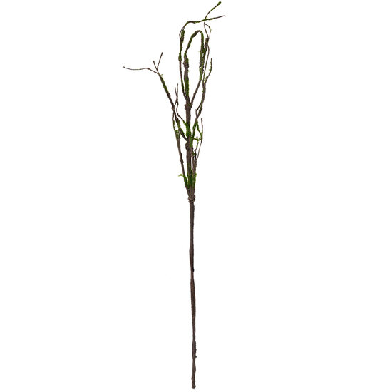 Clayre & Eef | Decoratie Tak Bruin Groen 28x5x130 cm | 5PL0186
