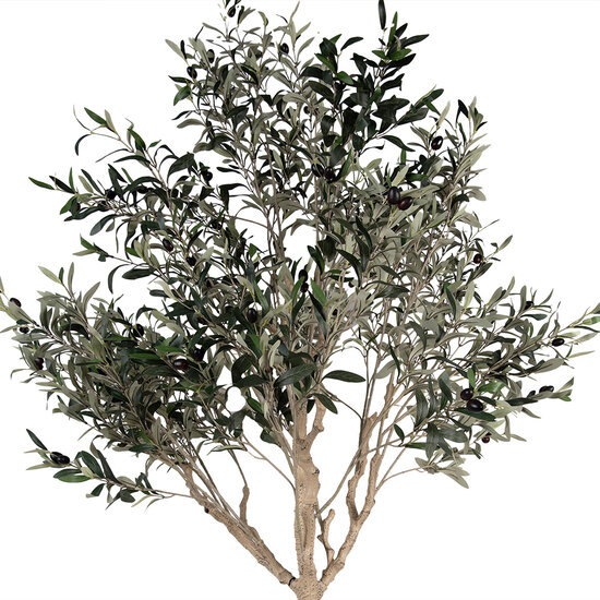 Clayre & Eef | Decoratie Olijfboom Groen Beige 120x80x240 cm | 5PL0139