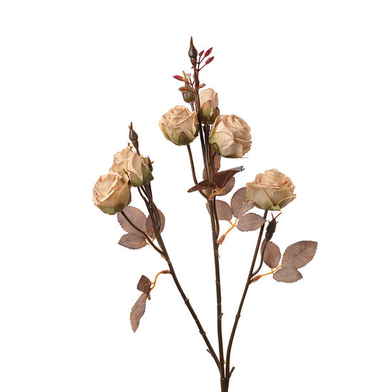 Clayre & Eef | Decoratie tak met bloemen Beige Bruin 16x9x73 cm | 6PL0330W