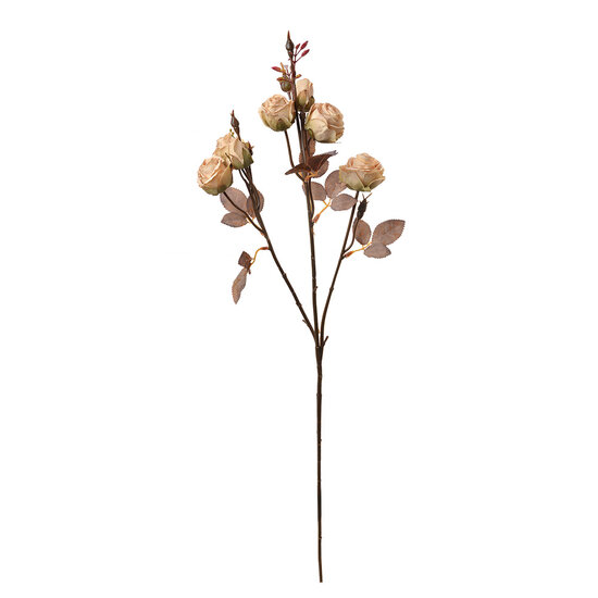 Clayre & Eef | Decoratie tak met bloemen Beige Bruin 16x9x73 cm | 6PL0330W