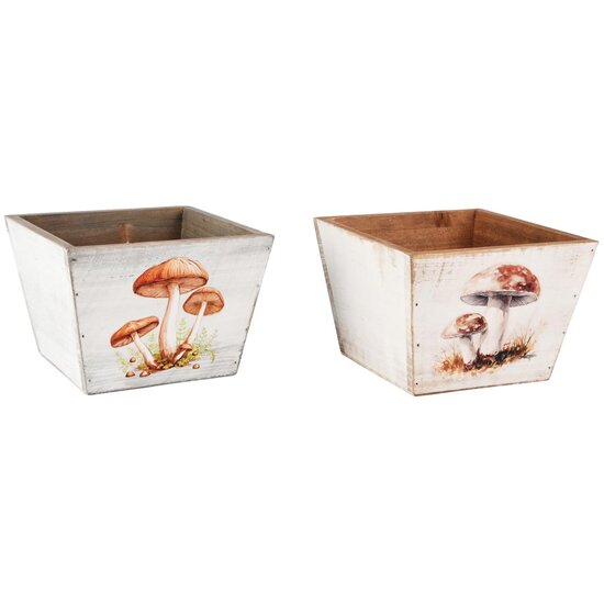 Dekoratief | Bakje m/paddenstoelen, naturel/wit, hout, 15x15x11cm, set van 2 stuks | A255956