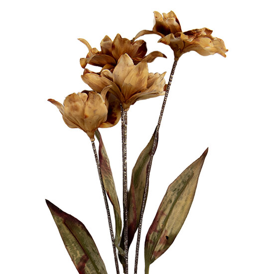 Clayre & Eef | Decoratie tak met bloemen Bruin Groen 8x5x60 cm | 6PL0403LCH