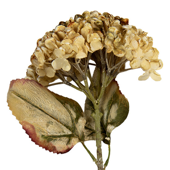 Clayre &amp; Eef | Decoratie tak met bloemen Beige Groen 15x15x47 cm | 6PL0404BE