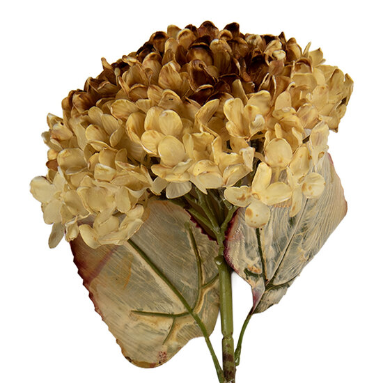 Clayre & Eef | Decoratie tak met bloemen Beige Groen 15x15x47 cm | 6PL0404CR
