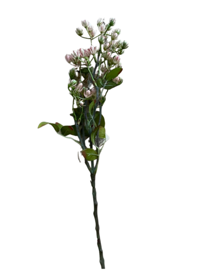 Decoratie kunsttak bellefleur 58 cm | HZY-012636/PK | Home Sweet Home | Stoer &amp; Sober Woonstijl