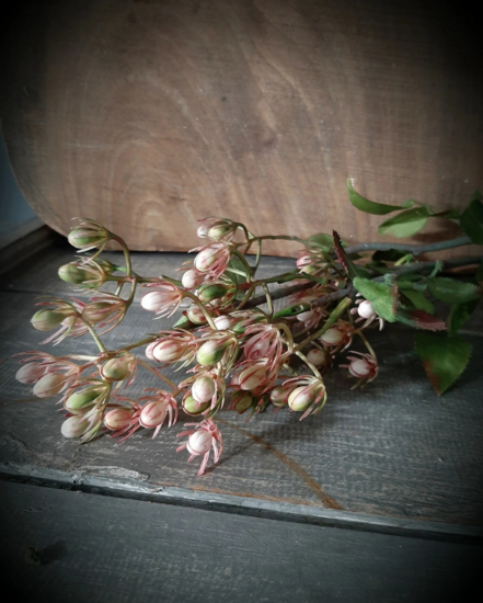 Decoratie kunsttak bellefleur 58 cm | HZY-012636/PK | Home Sweet Home | Stoer &amp; Sober Woonstijl