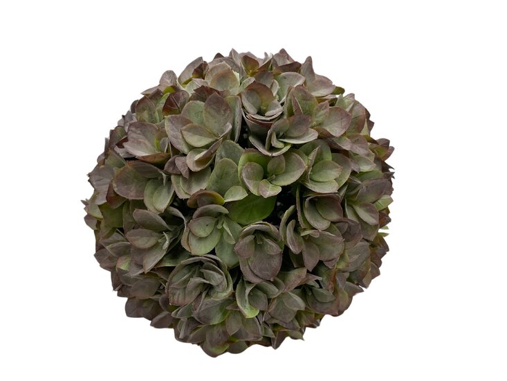 Decoratie kunstbol Hortensia &Oslash; 30 cm groen | 807871 | Home Sweet Home | Stoer &amp; Sober Woonstijl