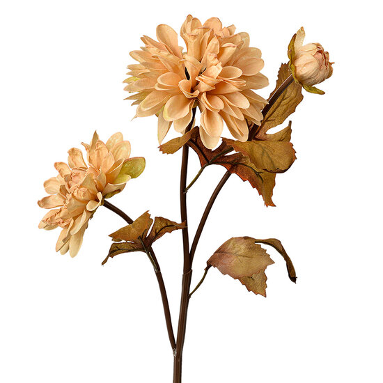 Clayre &amp; Eef | Kunstbloem Beige Bruin 10x10x66 cm | 6PL0387BE