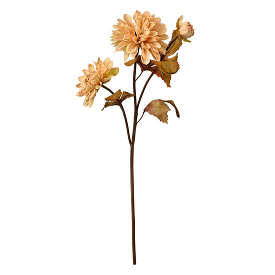 Clayre &amp; Eef | Kunstbloem Beige Bruin 10x10x66 cm | 6PL0387BE