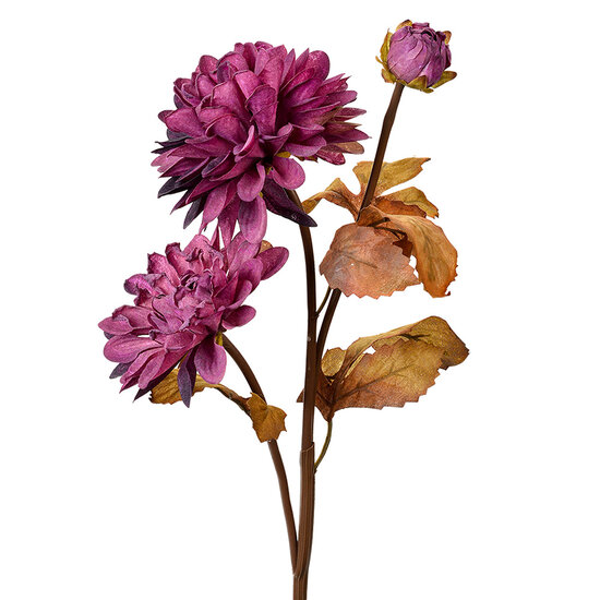 Clayre &amp; Eef | Kunstbloem Paars Bruin 10x10x66 cm | 6PL0387PA