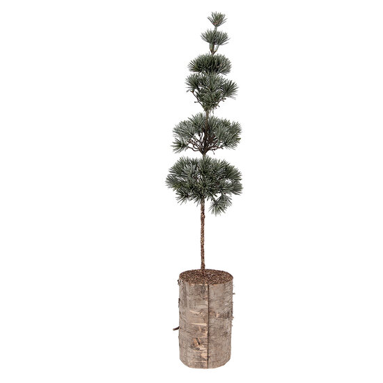 Clayre &amp; Eef | Decoratie Boom Groen Bruin 14x14x60 cm | 50841