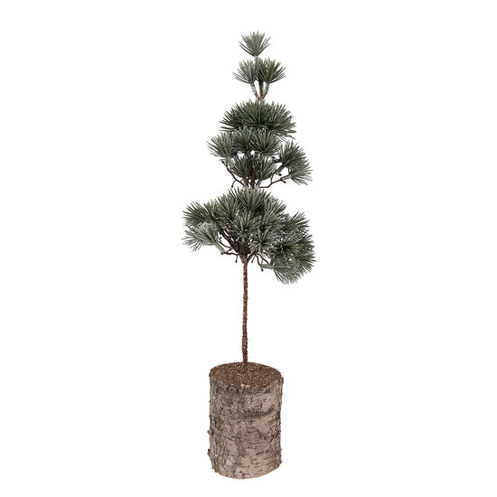 Clayre &amp; Eef | Decoratie Boom Groen Bruin 14x14x45 cm | 66433