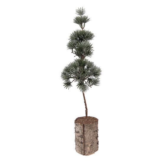 Clayre &amp; Eef | Decoratie Boom Groen Bruin 14x14x45 cm | 66433