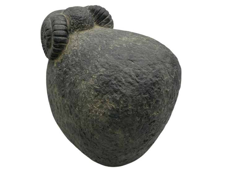 Brynxz Majestueus Vintage Beeld: Ram met Gedraaide Hoorns Maat L &ndash; Rustiek Steen-look &ndash; 22 x 20 cm Grijs