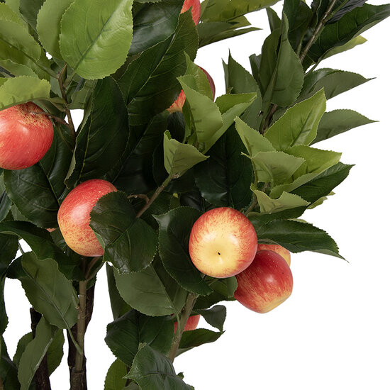 Clayre &amp; Eef | Decoratie Appelboom Groen Rood 30x30x150 cm | 5PL0217