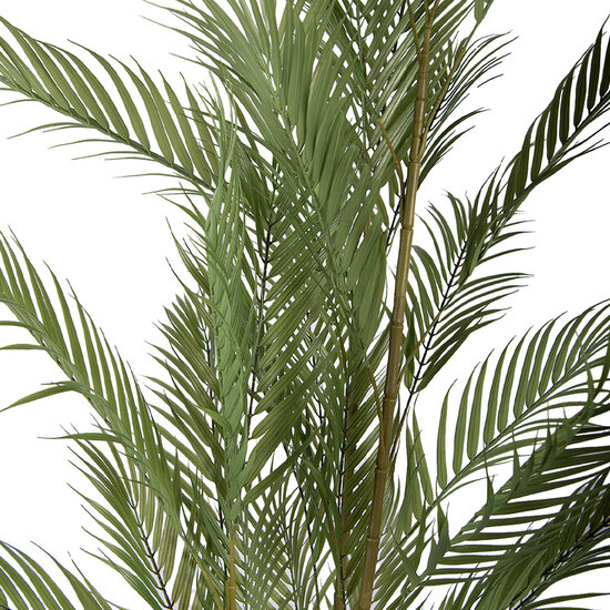Clayre &amp; Eef | Kunstplant Palm Groen Zwart 25x25x180 cm | 5PL0231