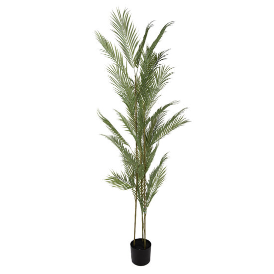 Clayre &amp; Eef | Kunstplant Palm Groen Zwart 25x25x180 cm | 5PL0231