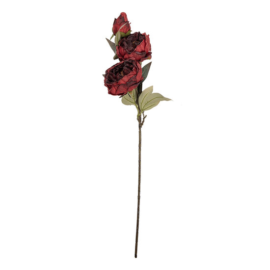 Clayre &amp; Eef | Decoratie tak met bloemen Rood Groen 16x16x72 cm | 5PL0242R