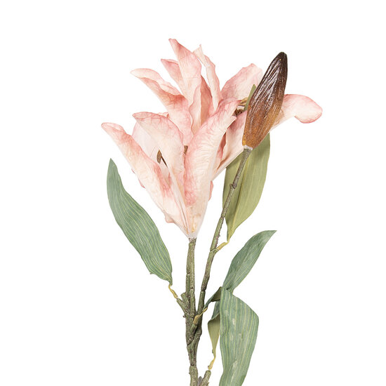 Clayre &amp; Eef | Decoratie tak met bloemen Roze Groen 12x16x88 cm | 5PL0252P