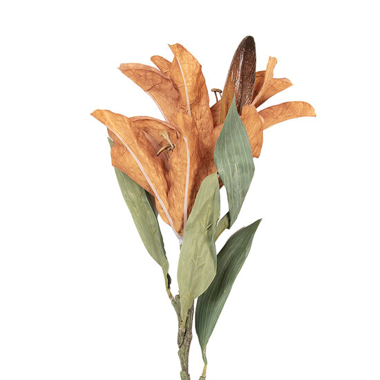 Clayre &amp; Eef | Decoratie tak met bloemen Bruin Groen 12x16x88 cm | 5PL0252Y