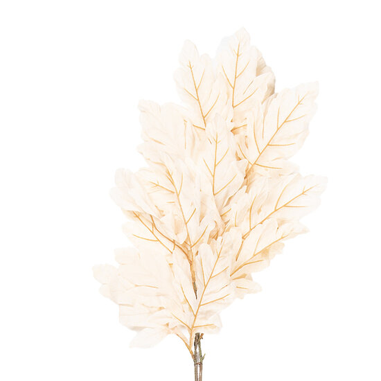 Clayre &amp; Eef | Decoratie Tak Beige Groen 15x22x104 cm | 5PL0253BE