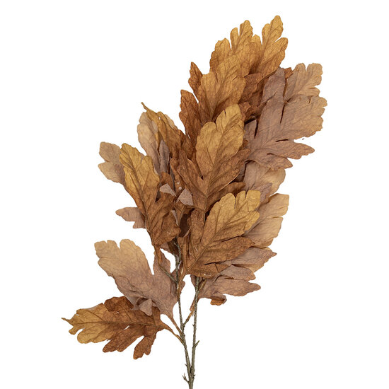 Clayre &amp; Eef | Decoratie Tak Geel Bruin 15x22x104 cm | 5PL0253Y