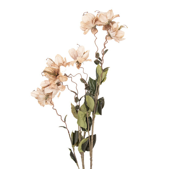 Clayre &amp; Eef | Decoratie tak met bloemen Beige Groen 14x14x120 cm | 5PL0258BE