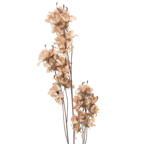 Clayre &amp; Eef | Decoratie tak met bloemen Beige Bruin 14x16x120 cm | 5PL0263BE