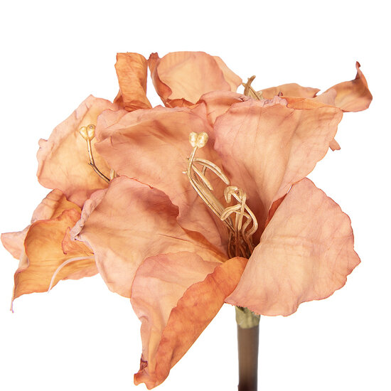 Clayre &amp; Eef | Kunstbloem Oranje Bruin 16x16x65 cm | 5PL0264P