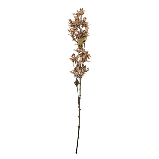 Clayre &amp; Eef | Decoratie tak met bloemen Beige Groen 10x10x95 cm | 5PL0265W