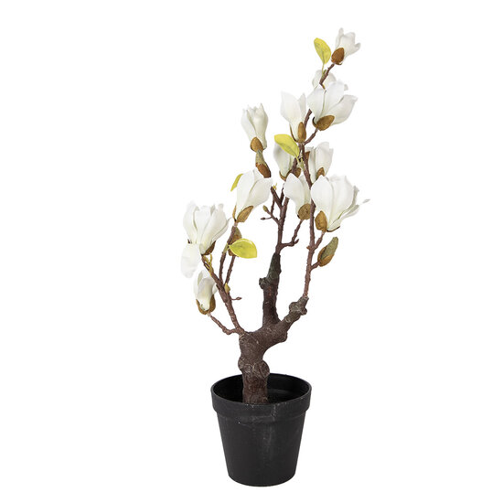 Clayre &amp; Eef | Decoratie Magnolia boom 16x14x60 cm | 5PL0206