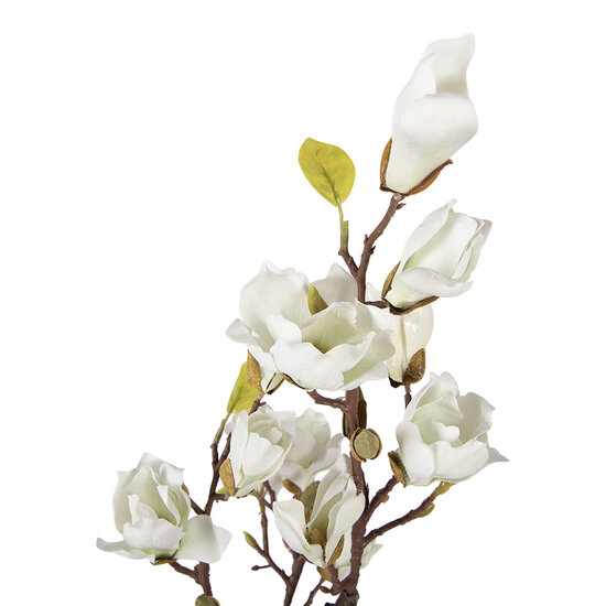 Clayre &amp; Eef | Decoratie Magnolia boom 16x14x60 cm | 5PL0206