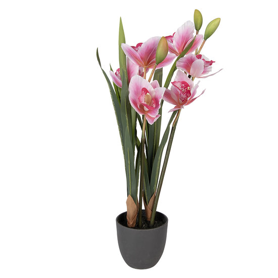 Clayre &amp; Eef | Kunstplant Cattleya Hybrida Roze Groen 14x14x55 cm | 5PL0209