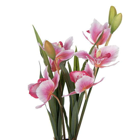 Clayre &amp; Eef | Kunstplant Cattleya Hybrida Roze Groen 14x14x55 cm | 5PL0209