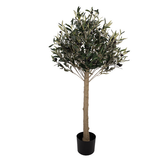 Clayre &amp; Eef | Decoratie Olijfboom Groen Bruin 45x45x120 cm | 5PL0224